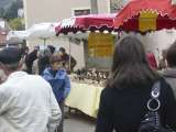 images/AA_2008/FoireMielImages/Miel_1.jpg